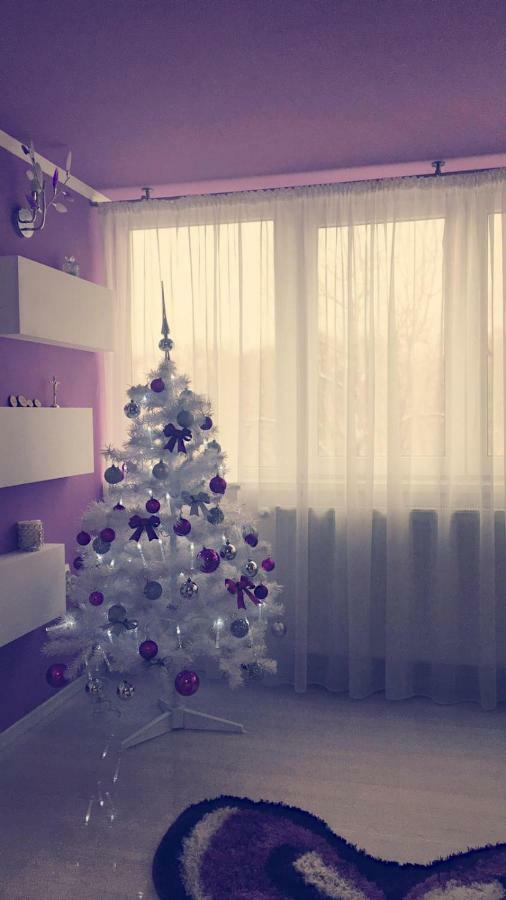 Apartament 2 Camere Bucureşti Ngoại thất bức ảnh